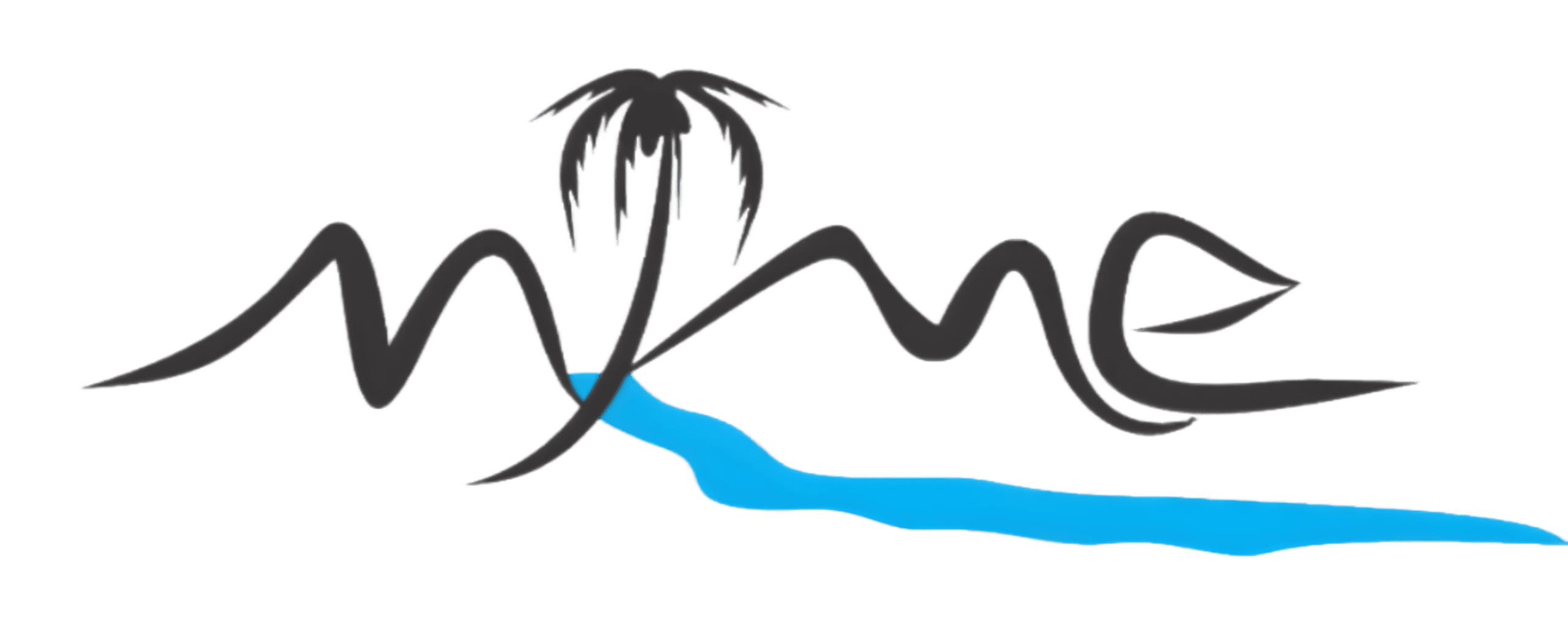 Ninehillstaylogo