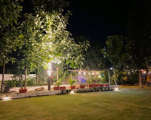 Lush, green garden area at your 3BHK Villa in Udaipur, a serene escape near Badi Lake Udaipur.